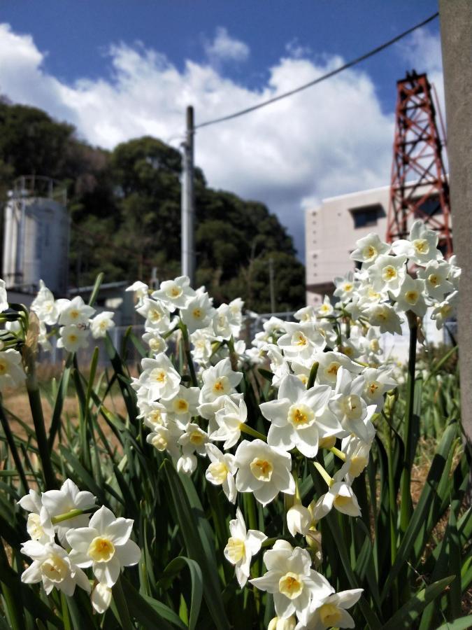 Izu Shirada Villa 伊豆白田家 Higashiizu Eksteriør bilde